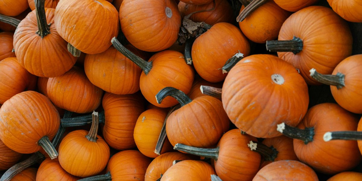 Willkommen auf meinem Blog